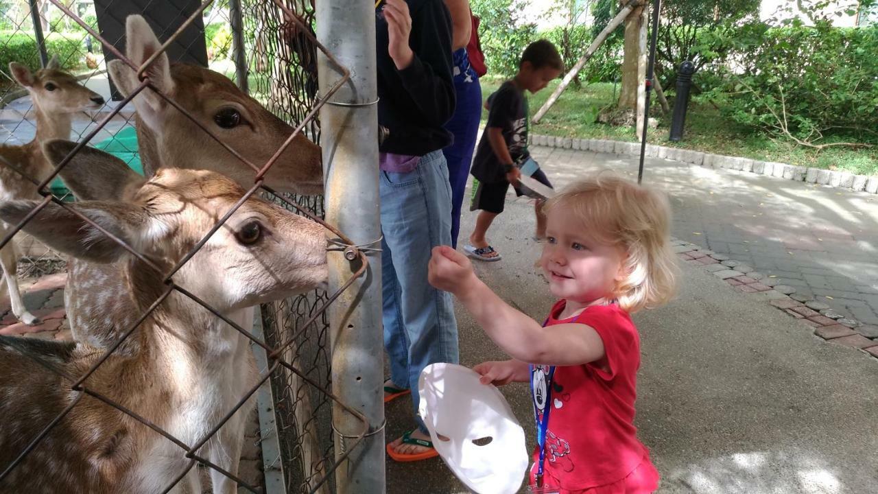Howard Beach Resort Kenting Kültér fotó Feeding the kangaroos